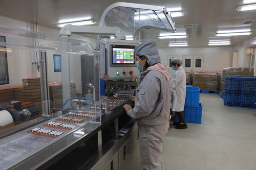 河北定興 科技特派團為企業發展添動能，加速技術推廣