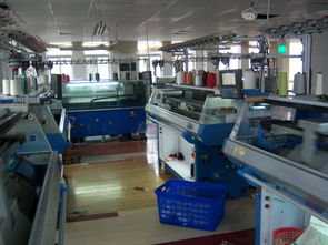 威海經(jīng)濟(jì)技術(shù)開發(fā)區(qū)瑞興服裝廠 創(chuàng)新女裝技術(shù)與市場(chǎng)推廣策略